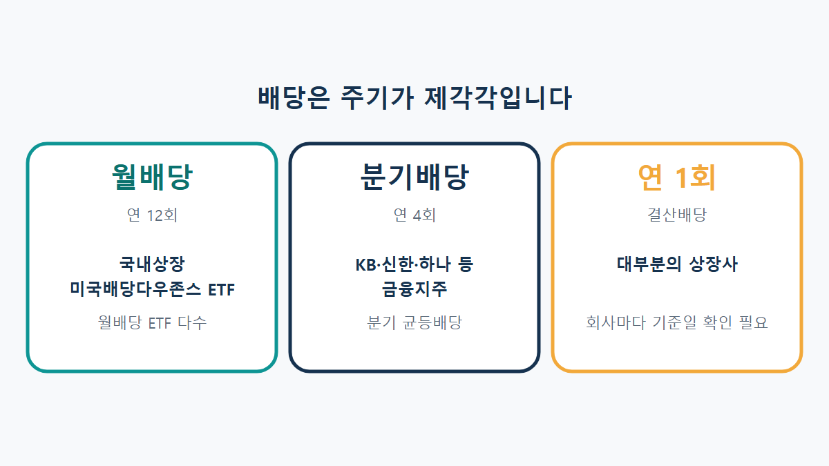 배당 주기 정리: 월배당·분기배당·연 1회 배당 종목 구분법