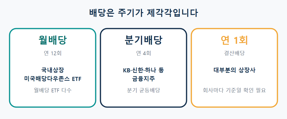 배당 주기별 예시: 월배당은 국내상장 미국배당다우존스 ETF, 분기배당은 KB·신한·하나 등 금융지주, 연 1회는 대부분 상장사의 결산배당