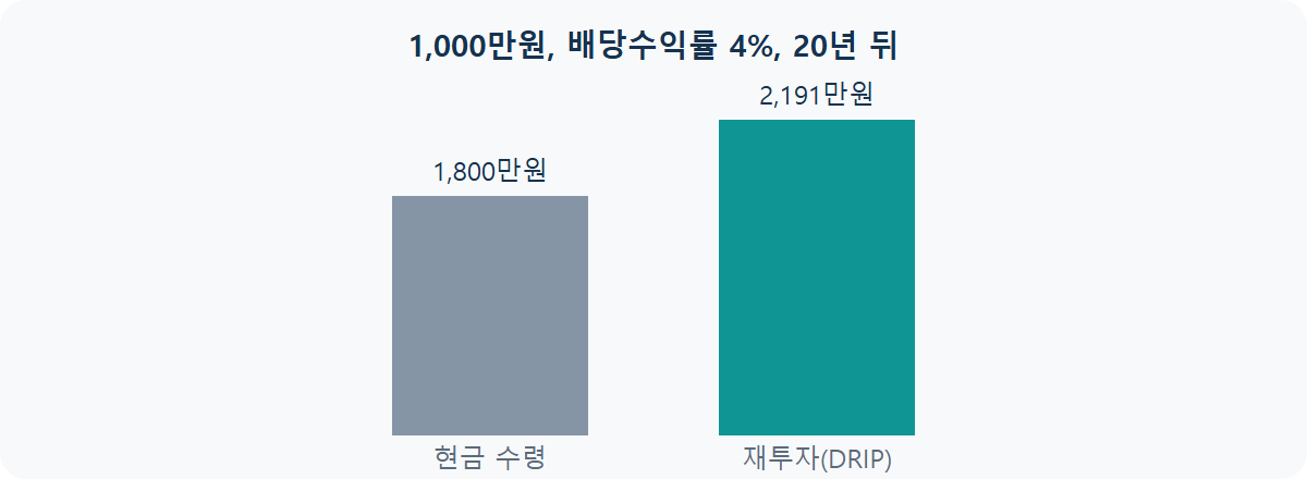 배당 재투자 DRIP: 스노우볼 효과가 만드는 복리
