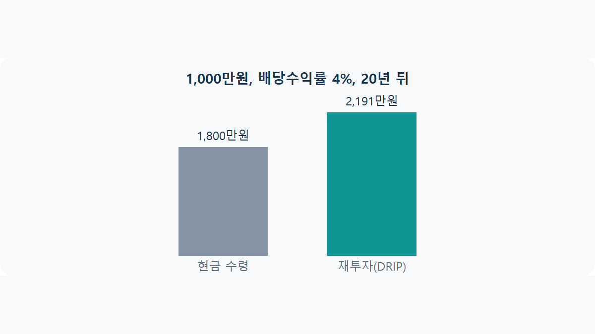 배당 재투자 DRIP: 스노우볼 효과가 만드는 복리