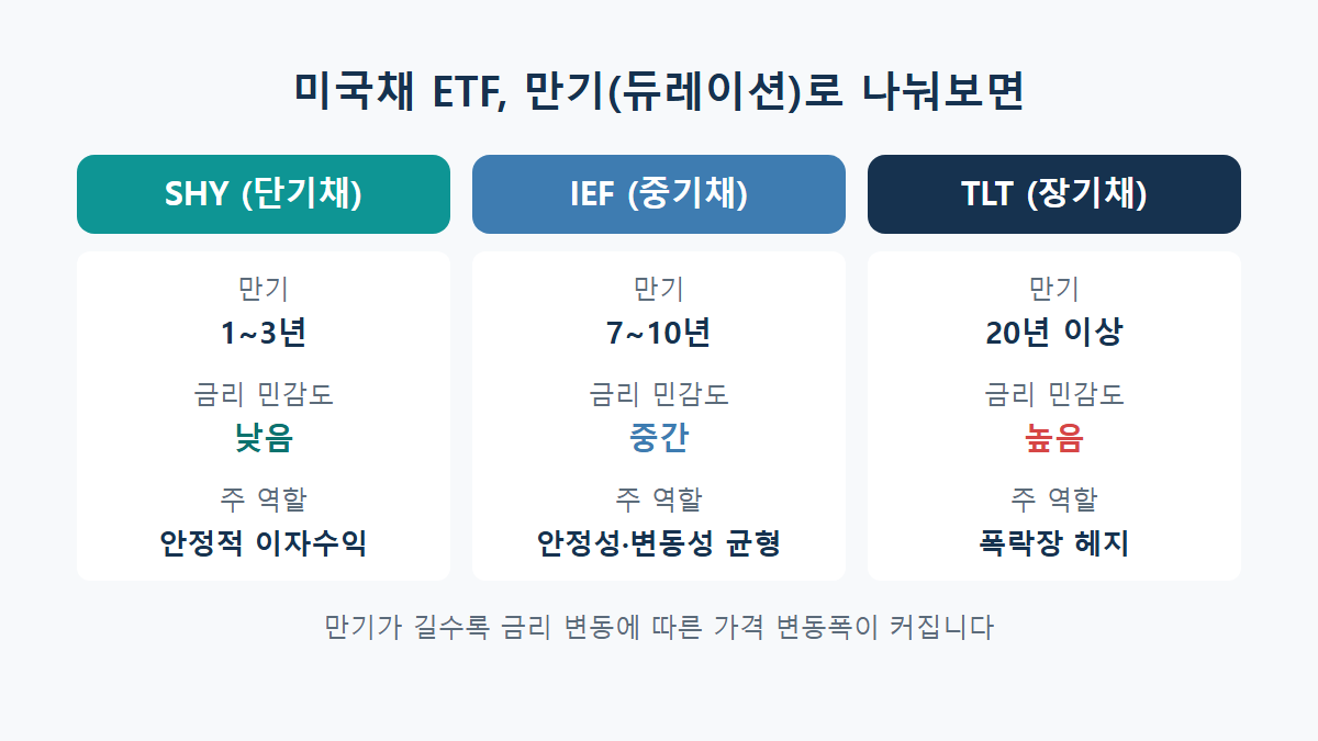 장기채 vs 단기채 차이: TLT·IEF·SHY 중 뭘 골라야 할까