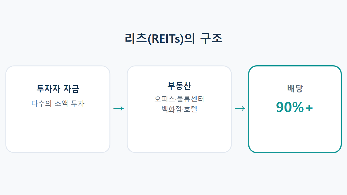 리츠(REITs)란: 건물 없이 부동산에 투자하는 법
