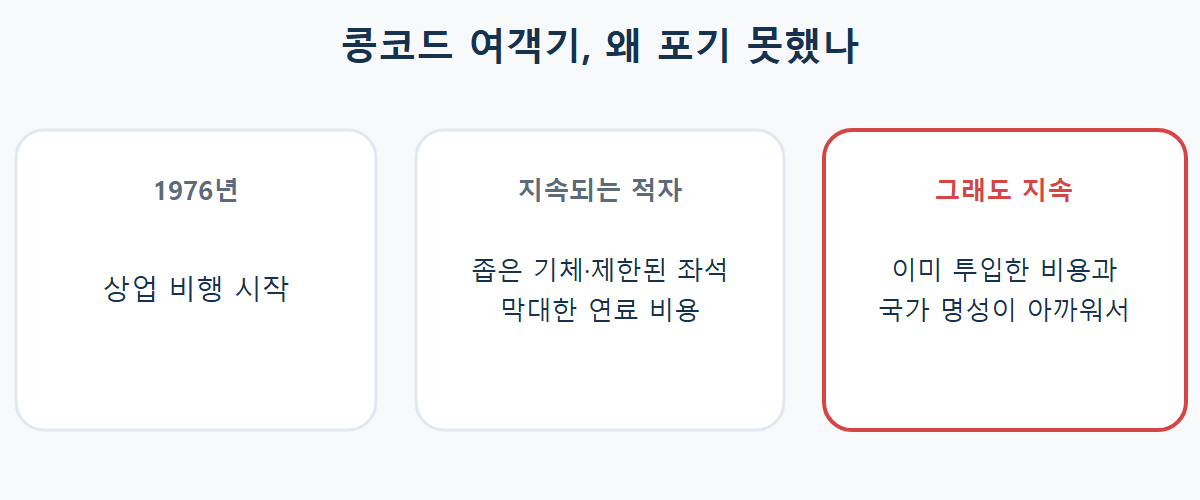 매몰비용 오류의 대표 사례인 콩코드 여객기가 손실에도 사업을 지속한 과정